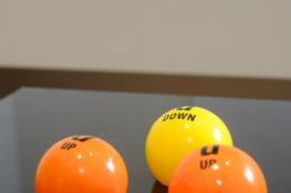 Immagini dalla mostra