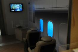 Immagini dalla mostra