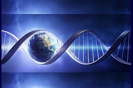 All’accademia delle Scienze, ciclo di conferenze sull'origine della vita: dalla nucleosintesi alle molecole