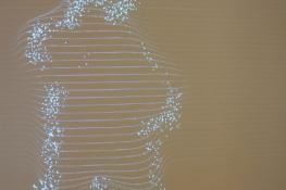 Immagini dalla mostra