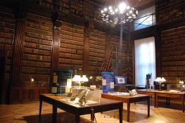 Locali della mostra (3)